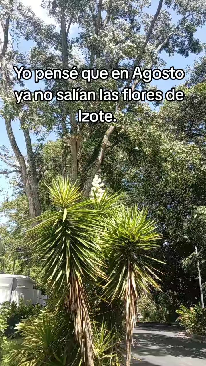 @Cj Andrade🇸🇻
