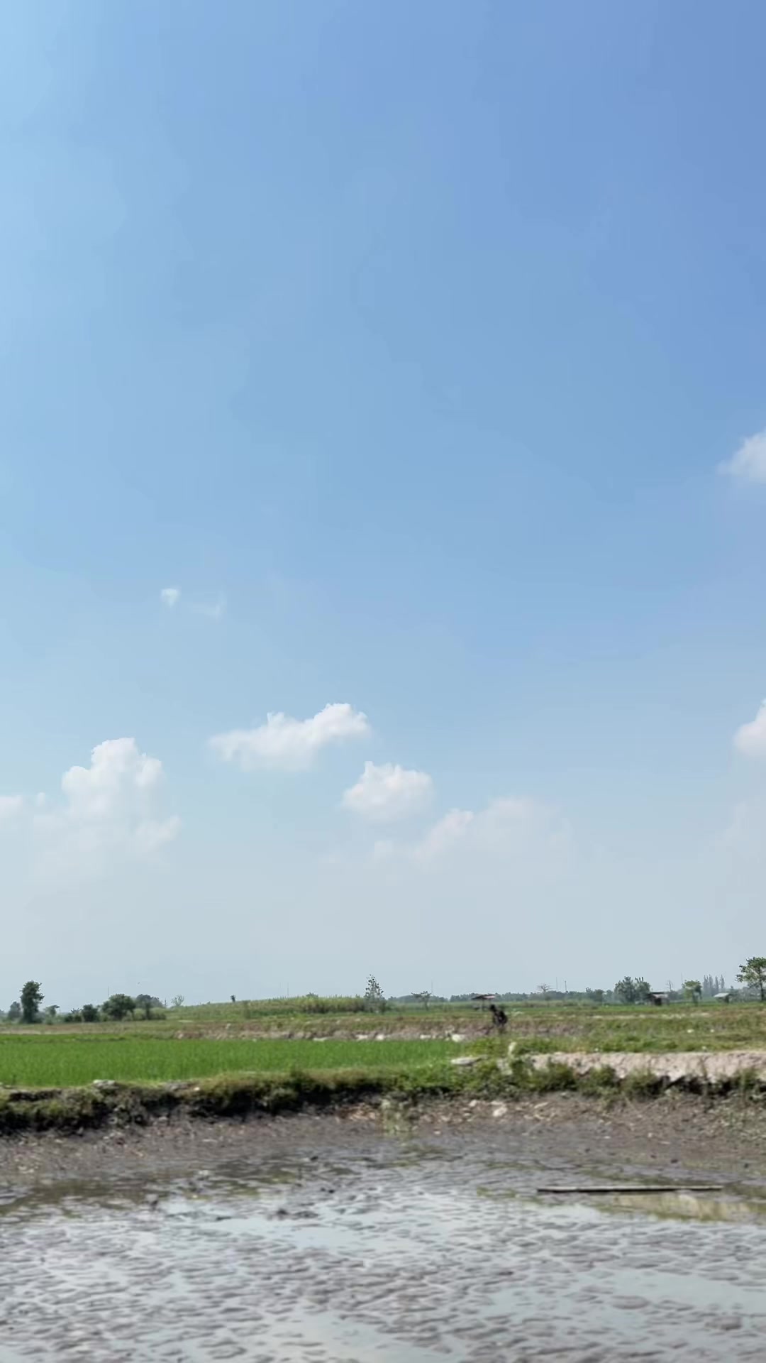 @Perikanan surowono