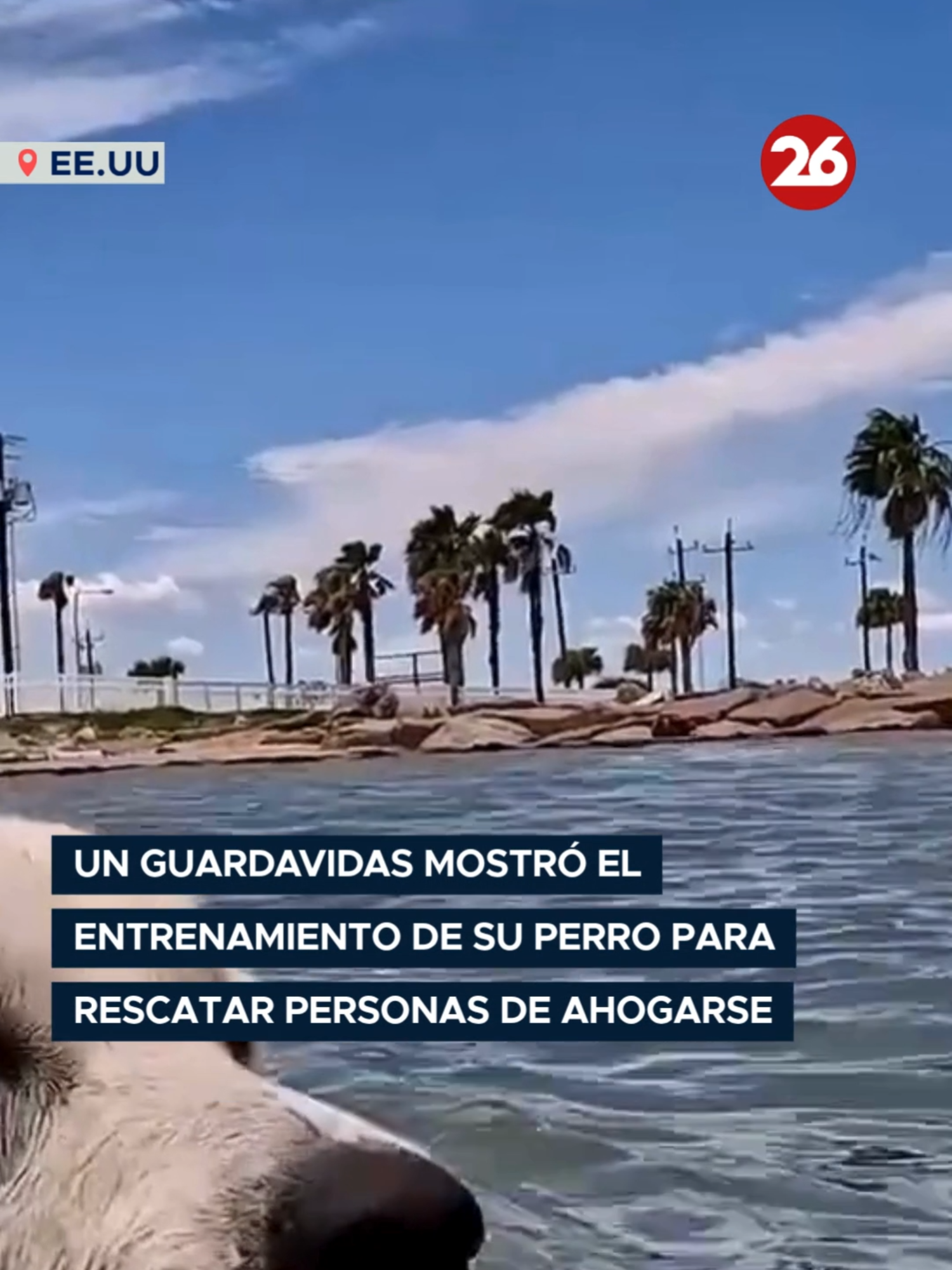 @Canal 26