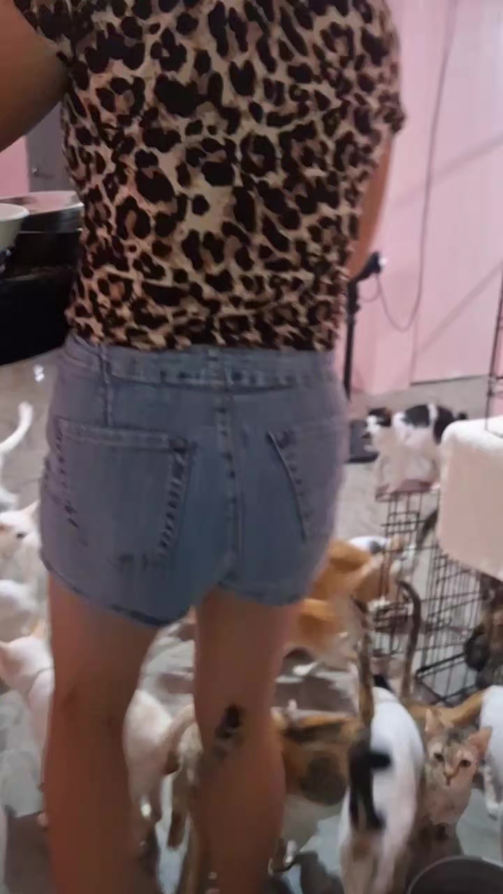 @mylharescues