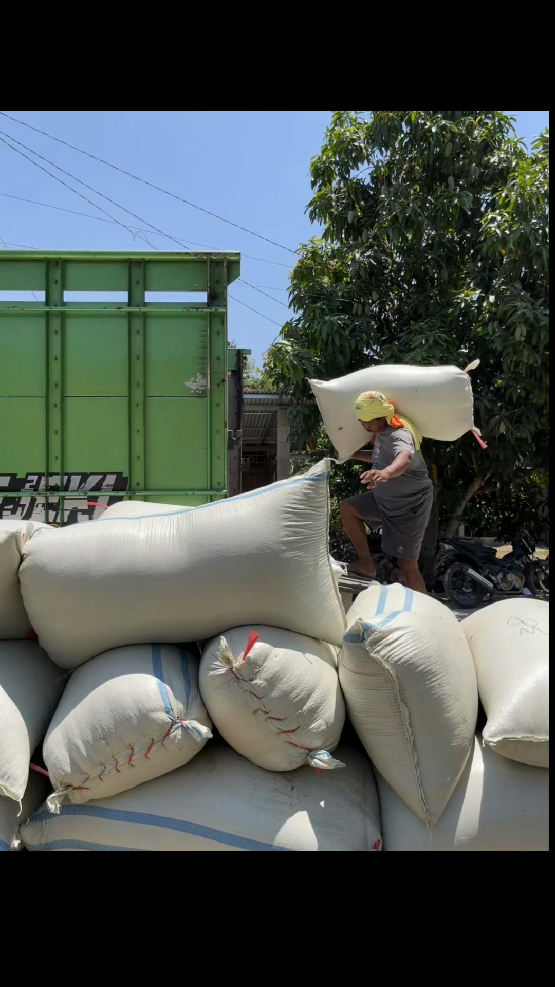 @Arisna