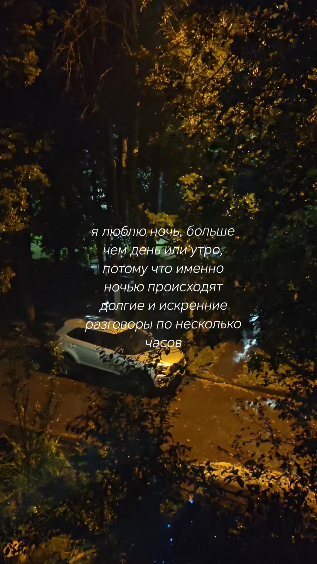 @Ками𐙚 @