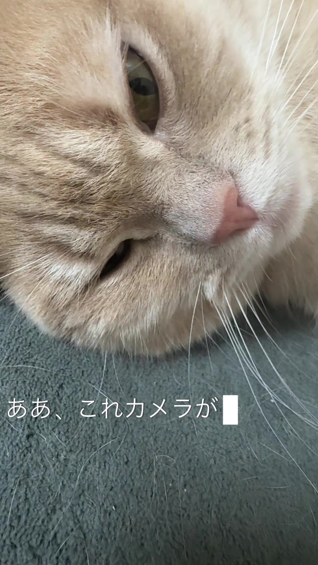 @ð«ð§ããã±ã³ðïžãããµãð§ð«