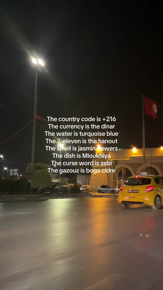 @Hamza 🇹🇳🇵🇸
