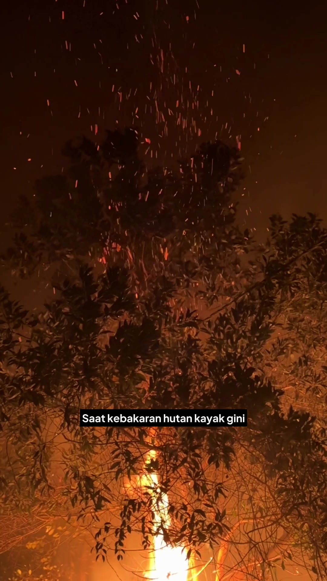 @alwijo