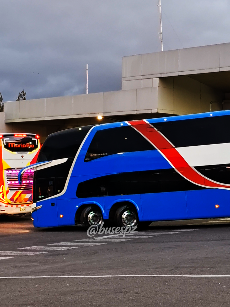 @BUSES PZ | BPZ