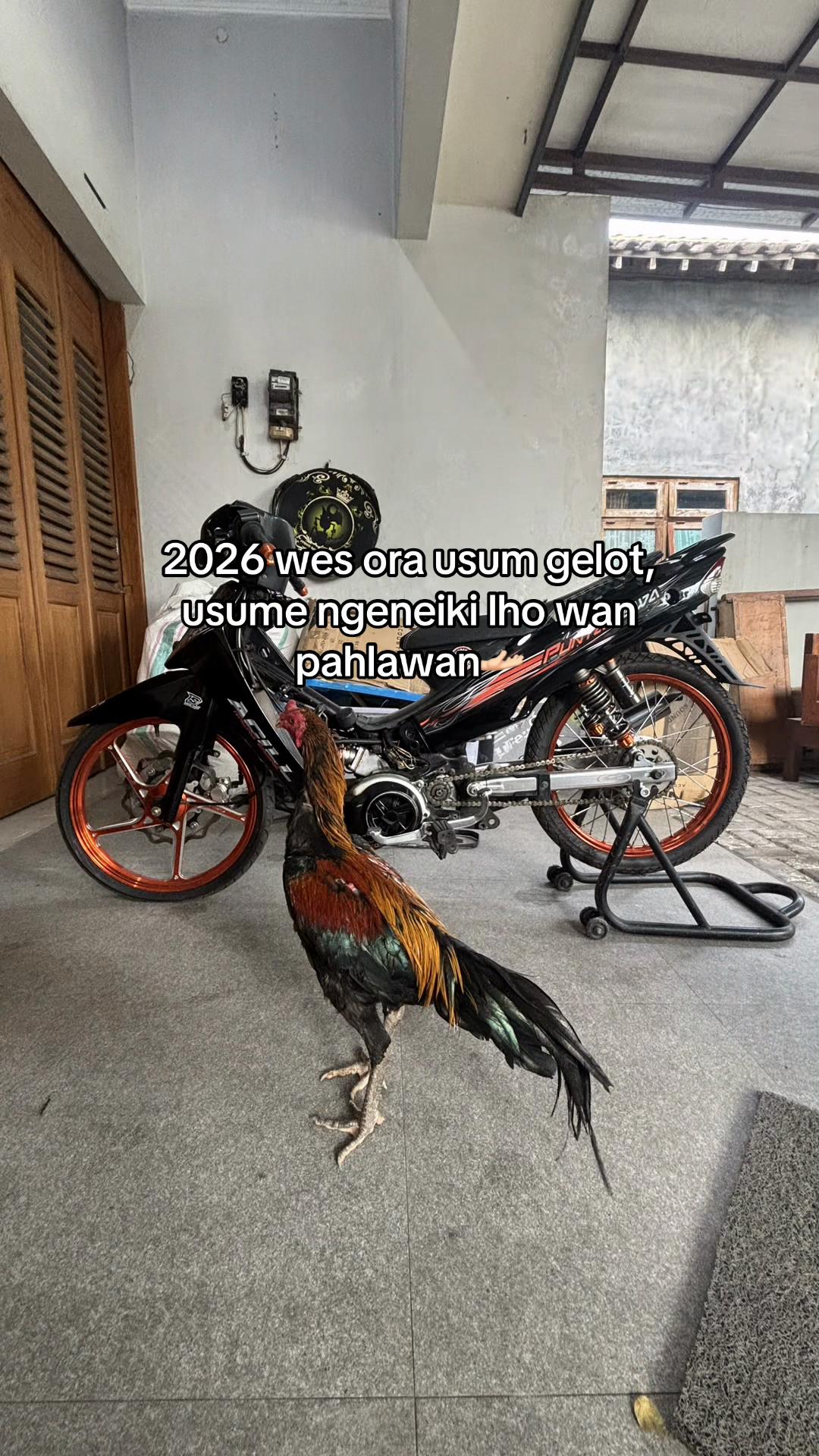 @3Putraa