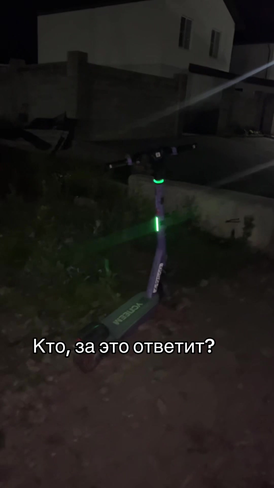 @dashka_ng
