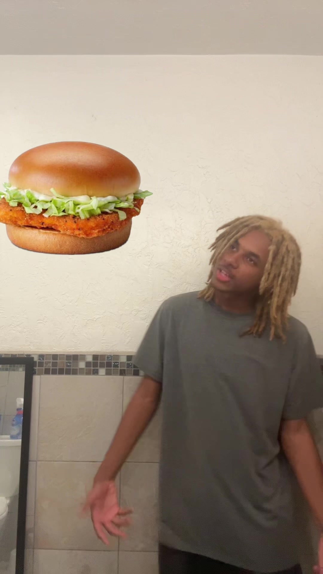 @ohbabyilovemcchickens