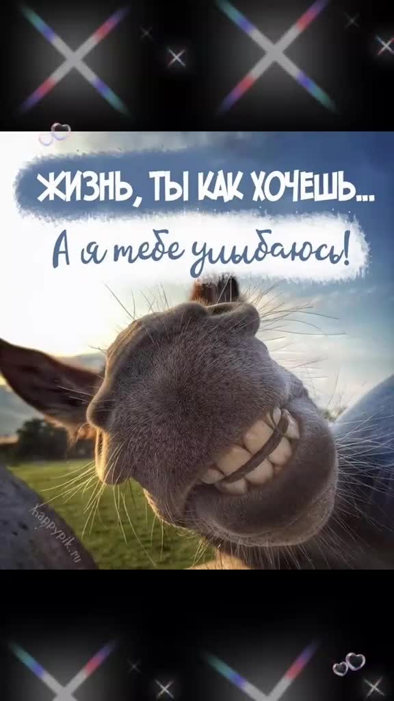 @Елена