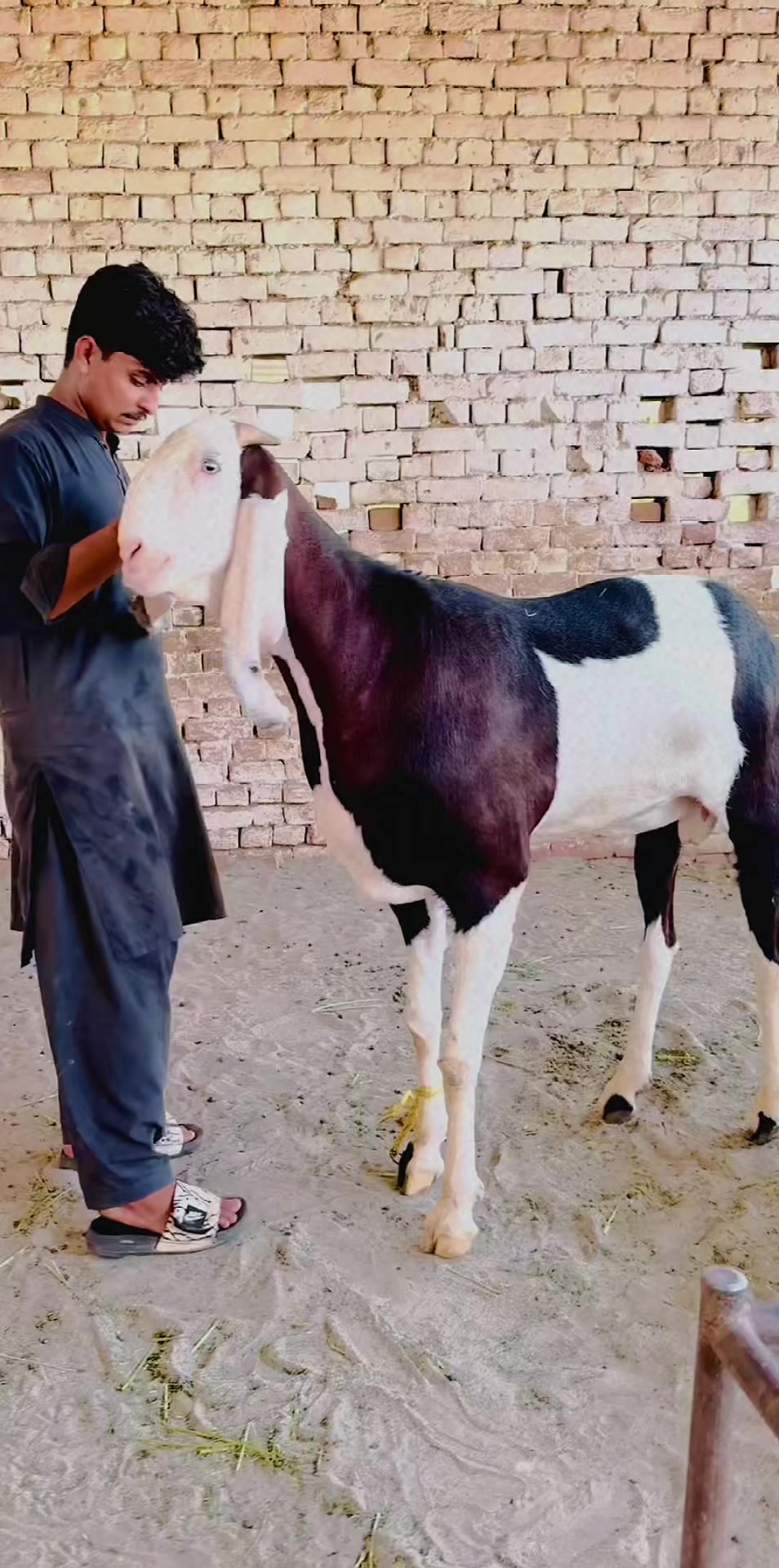 @Buraq waqar