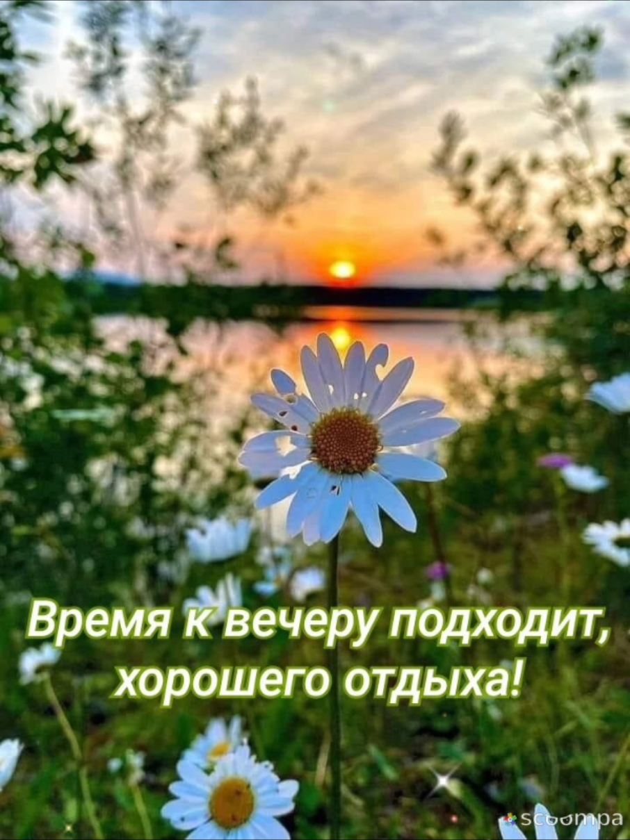 @💫✨️natalia_3✨️💫