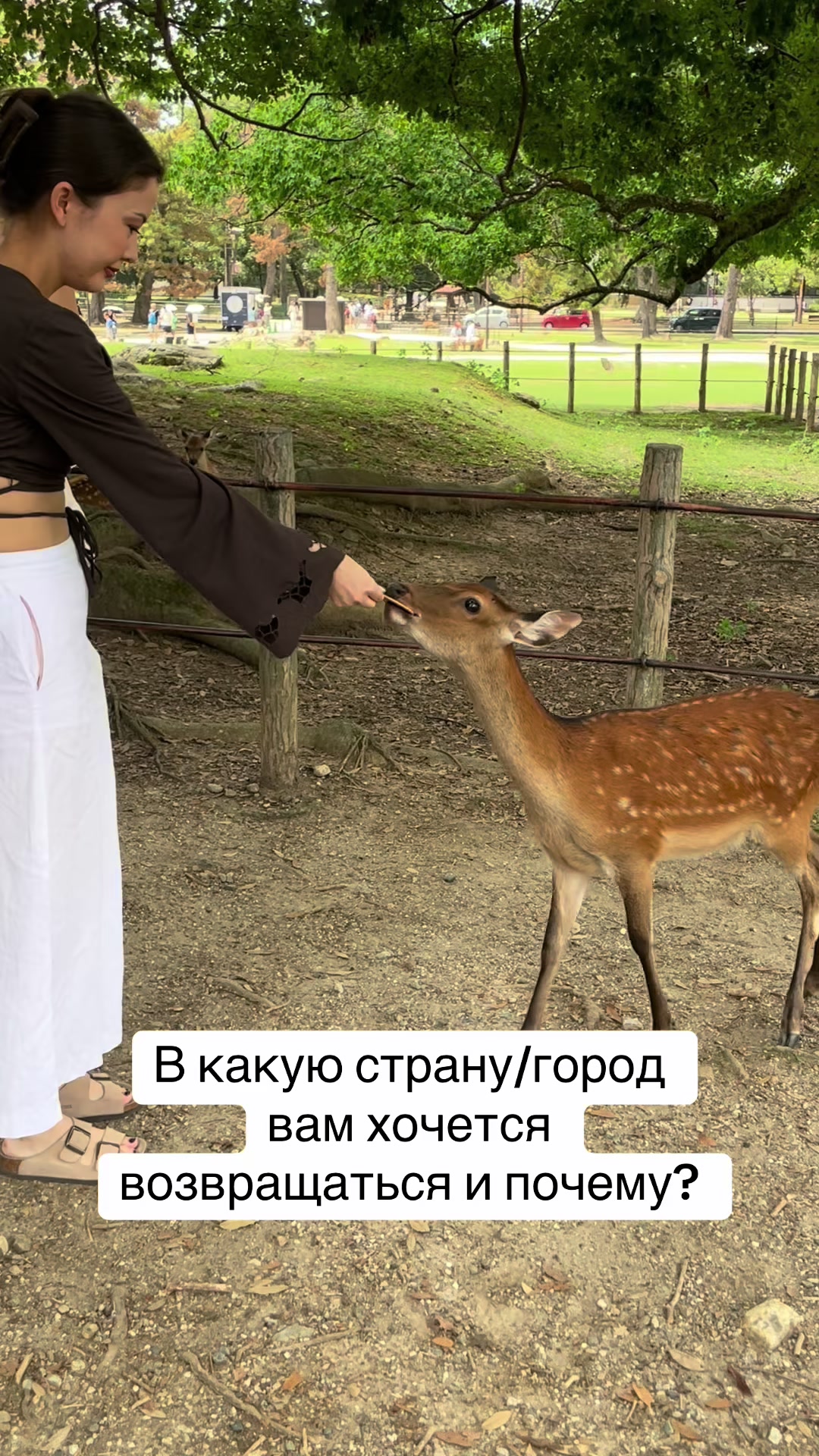 @saga.swagaa