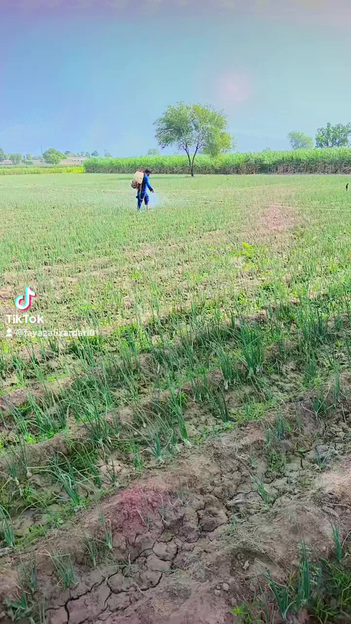 @zawar    Fayaz Ali Zardari