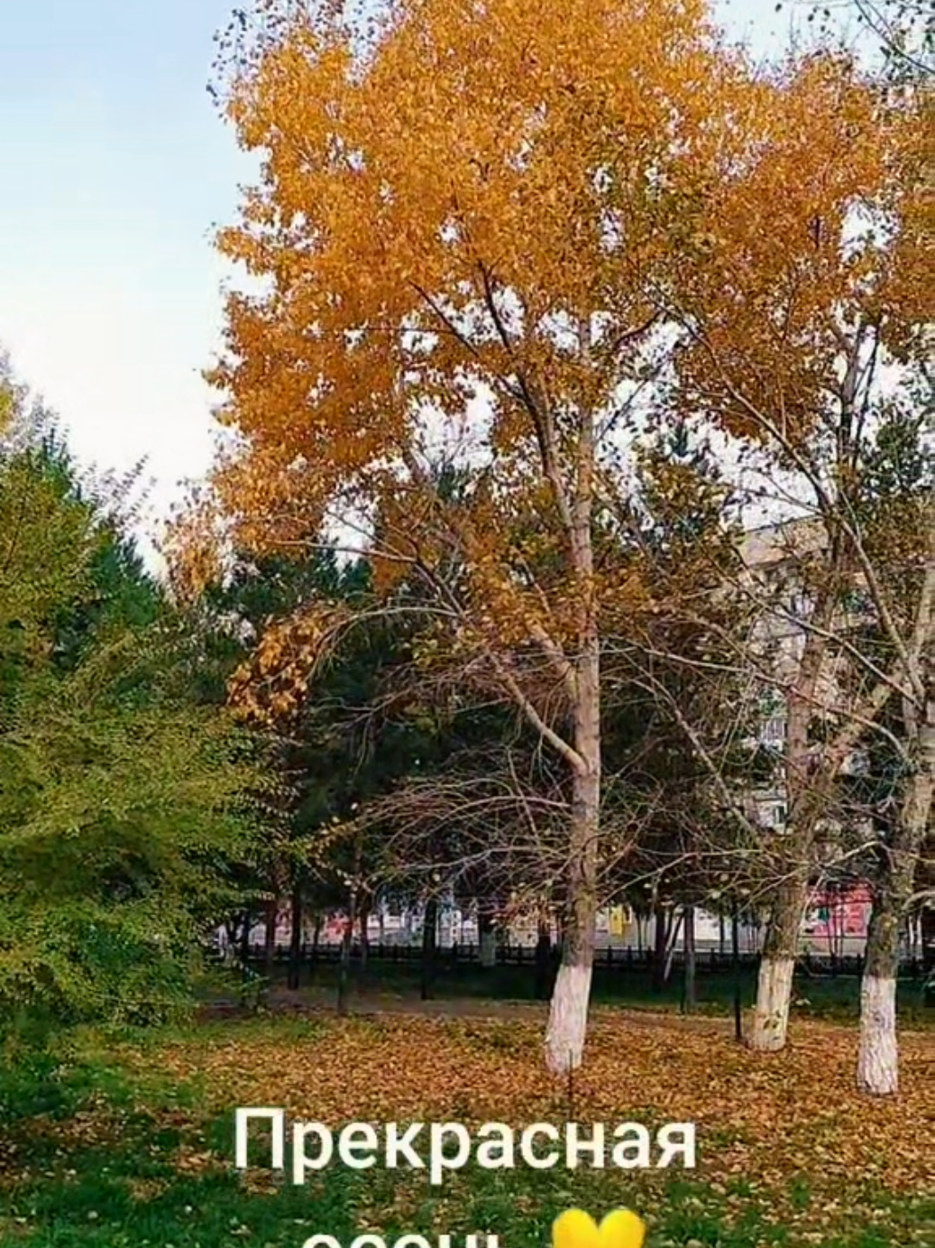 @pavlodar_yura