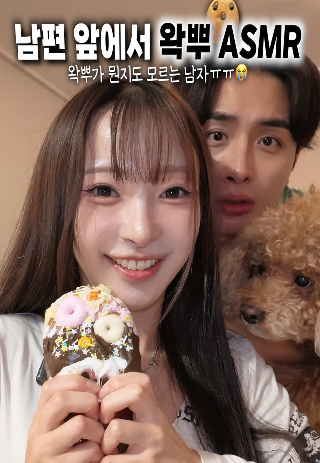 @๐ํธ๋ค์ปคํ Poodle๐