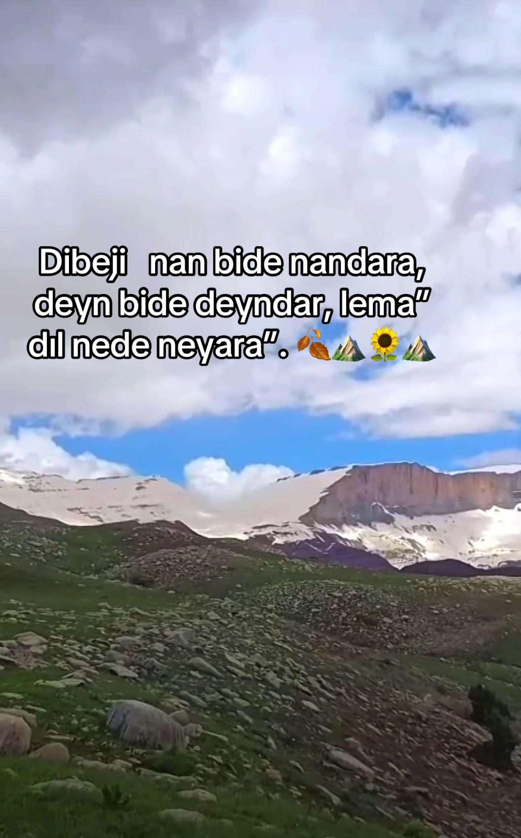 @ŞİYAR ✪