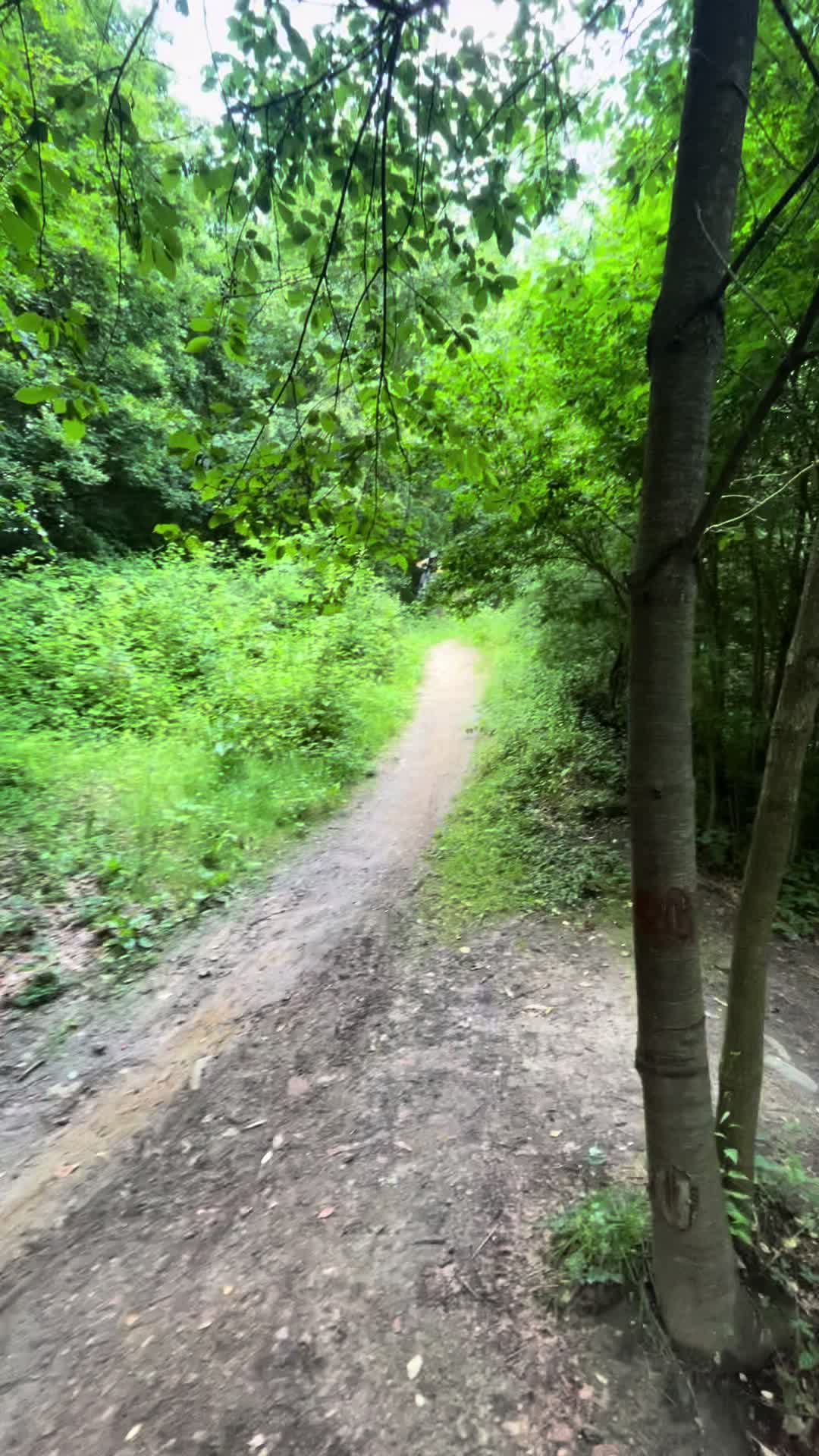 @Benni mtb✝️