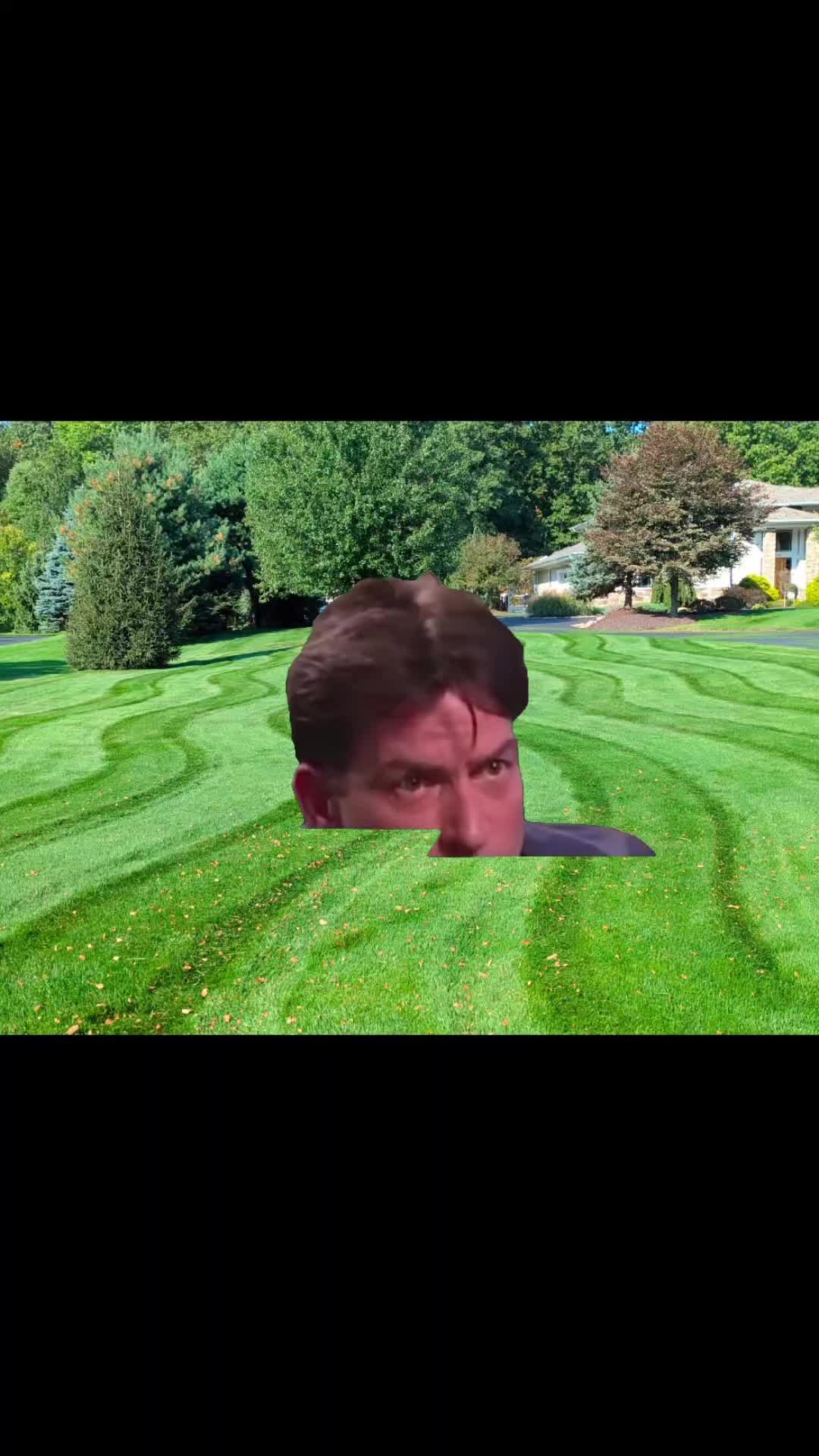 @mulletdingermaster3000