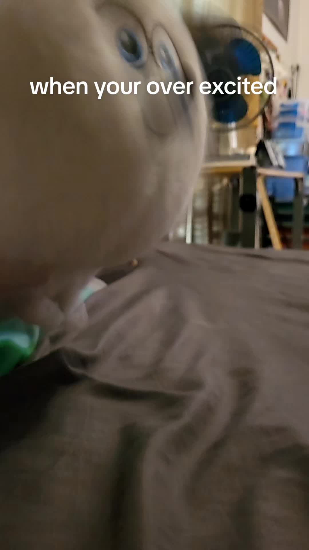 @poppyplaytimerfan