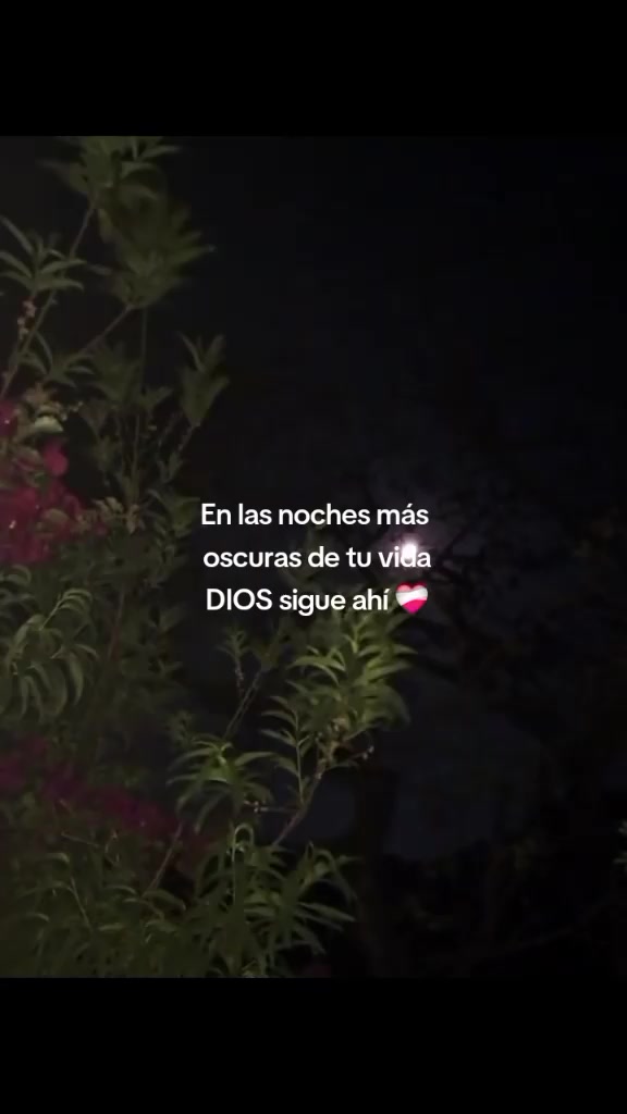 @Wlady SL