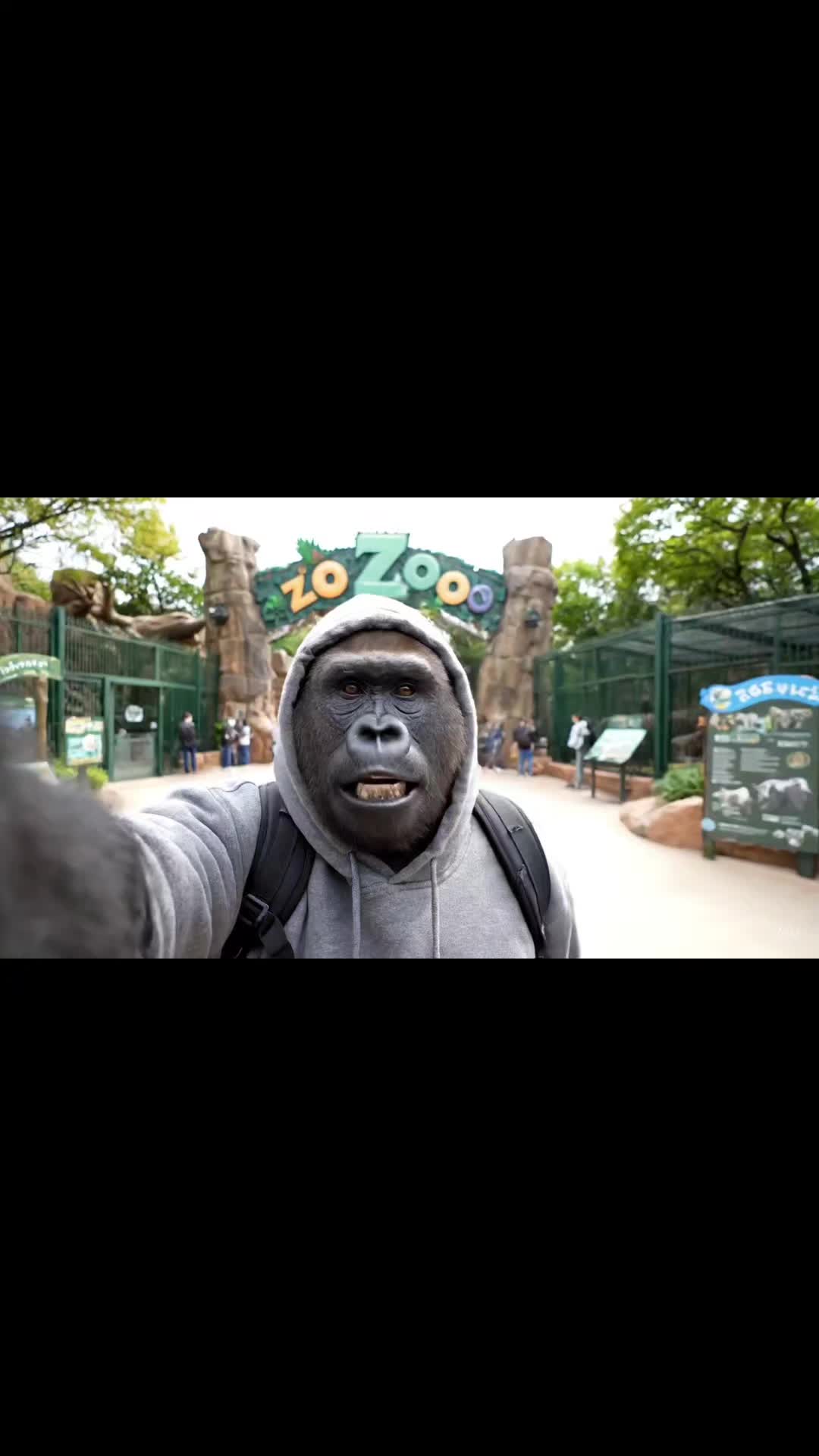 @Gorilla