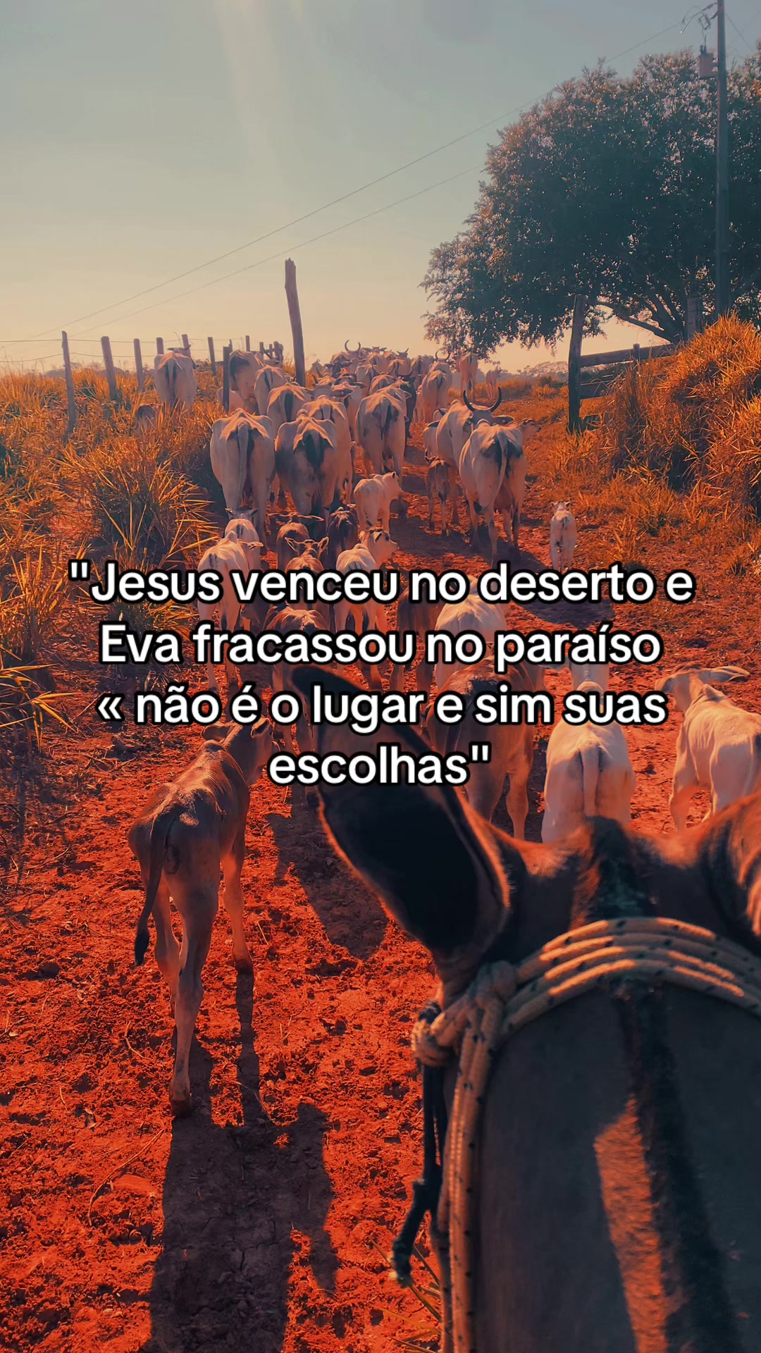 @📿K&Aacute;SSIO.agro𓃗🤠