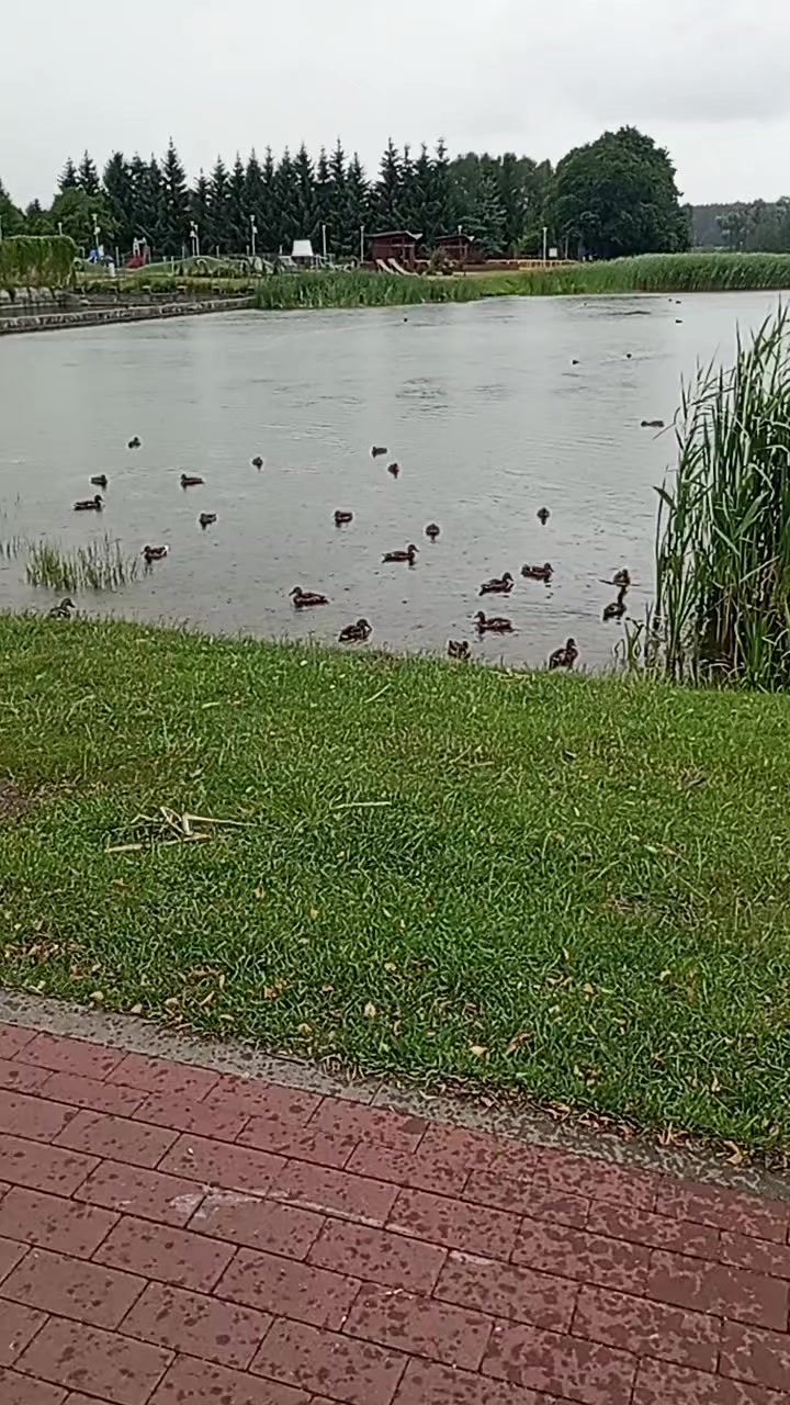 @Ökkeş