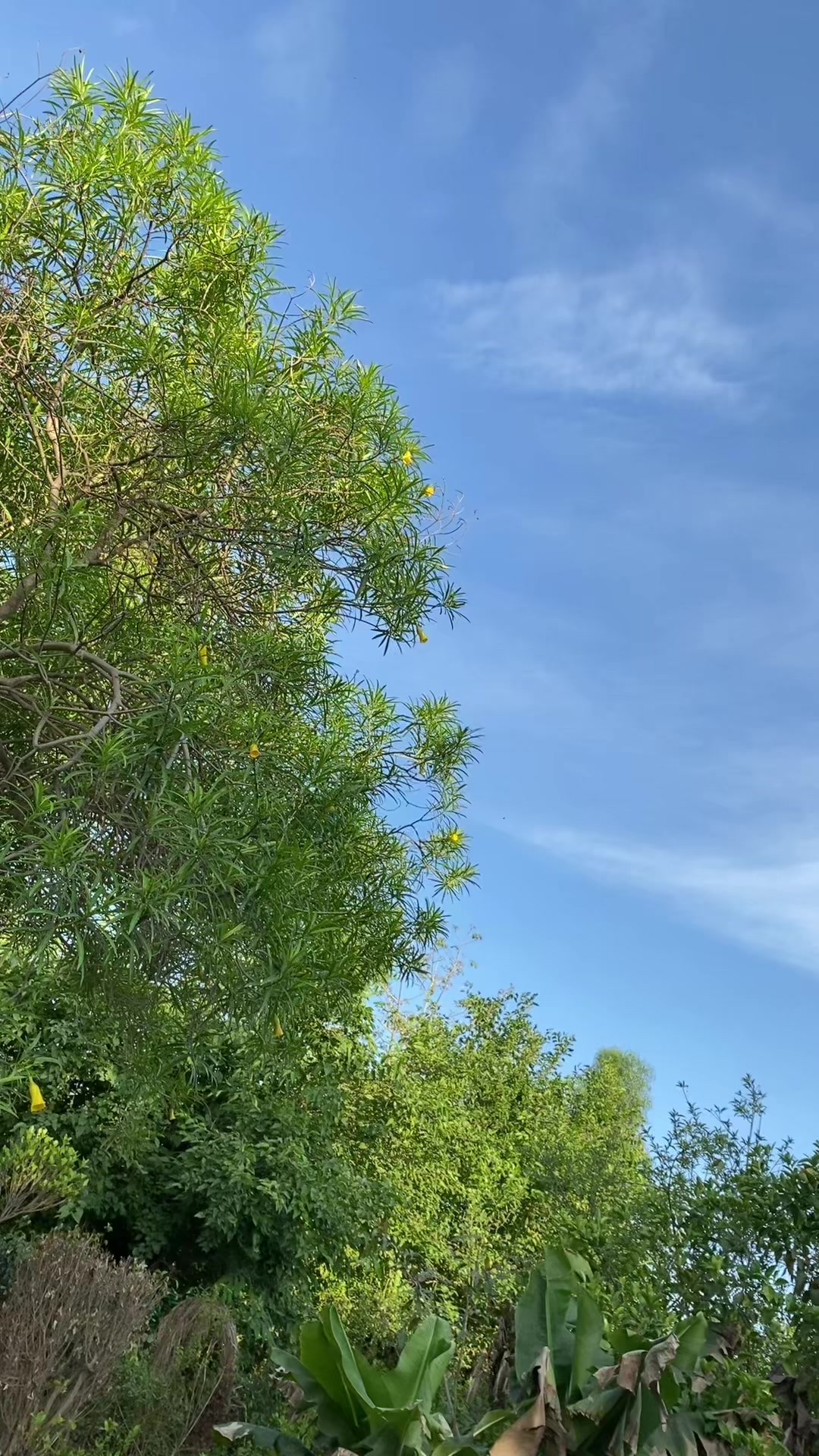 @Ashar🇵🇰🇦🇩🇮🇩🇰🇭🇲🇾🇲🇻