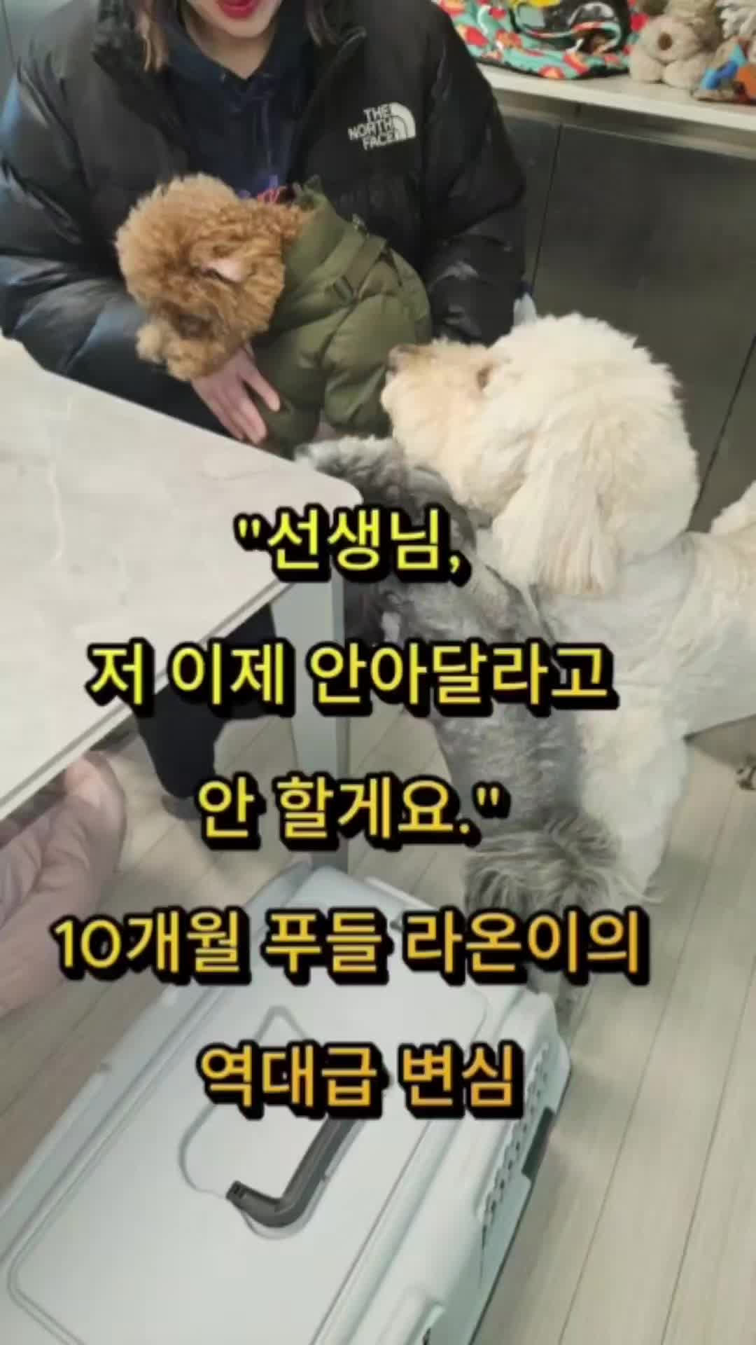 @백서현218