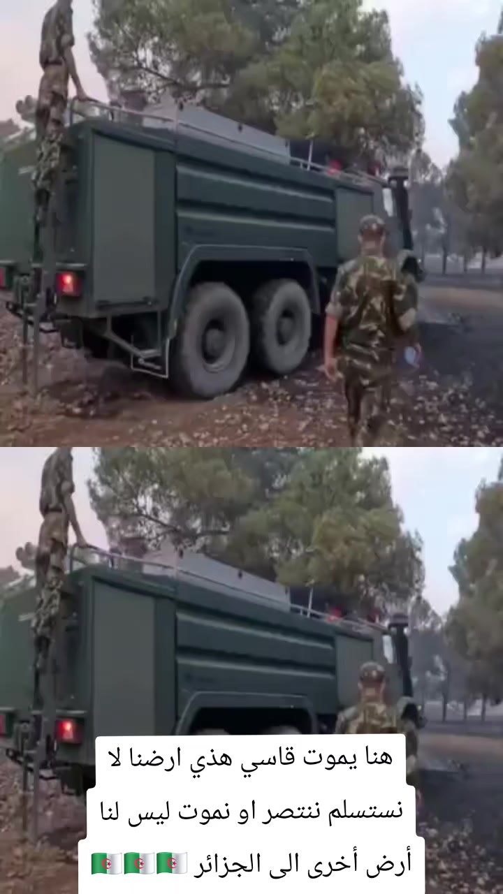 @زروالي _ سعيد 🇩🇿