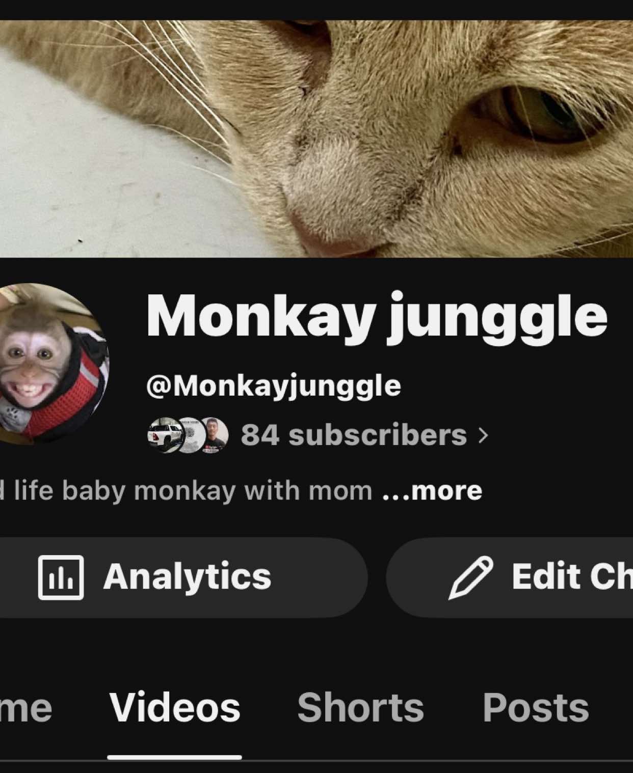 @Monkay Baby