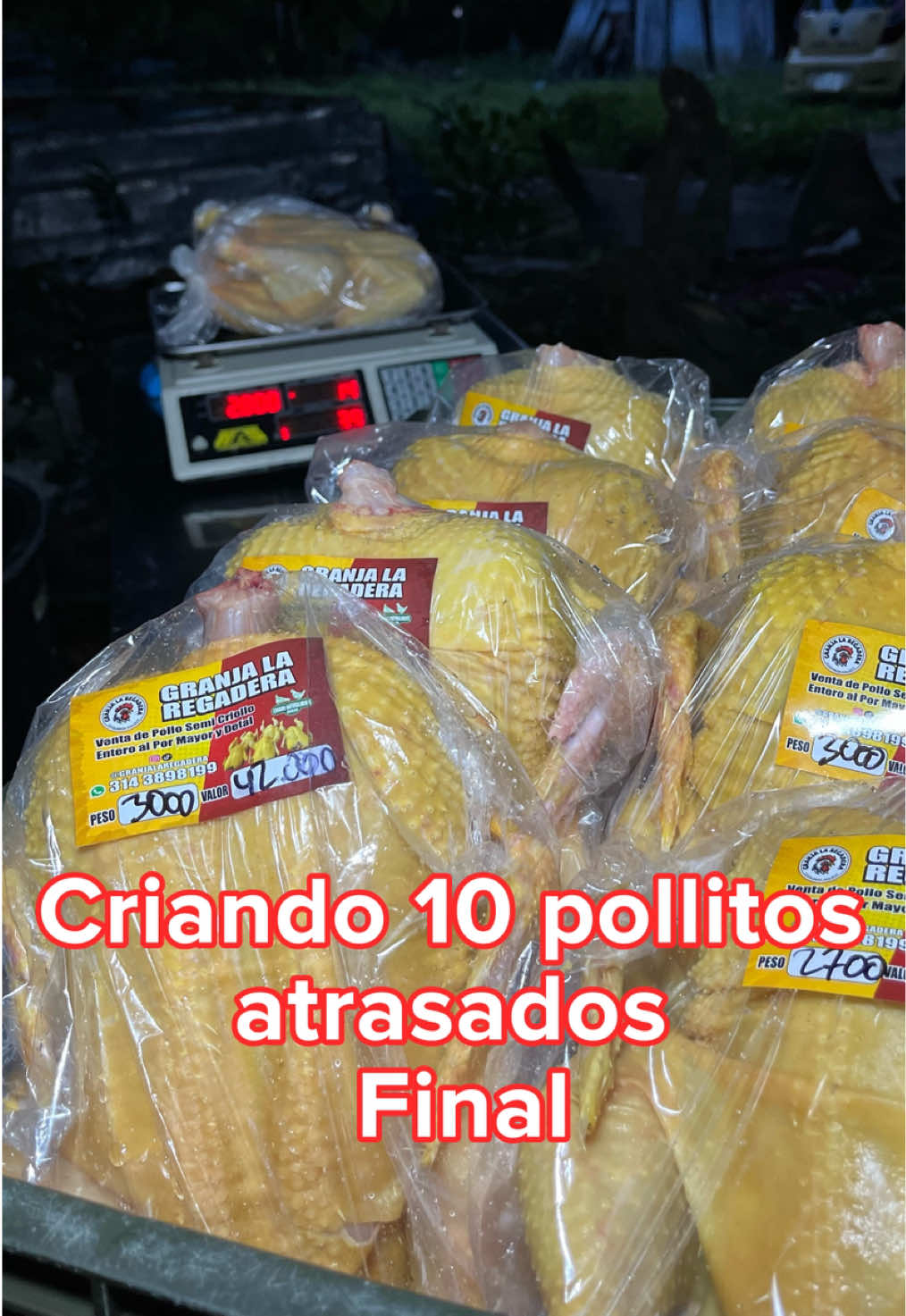 @elmagnatedelospollos