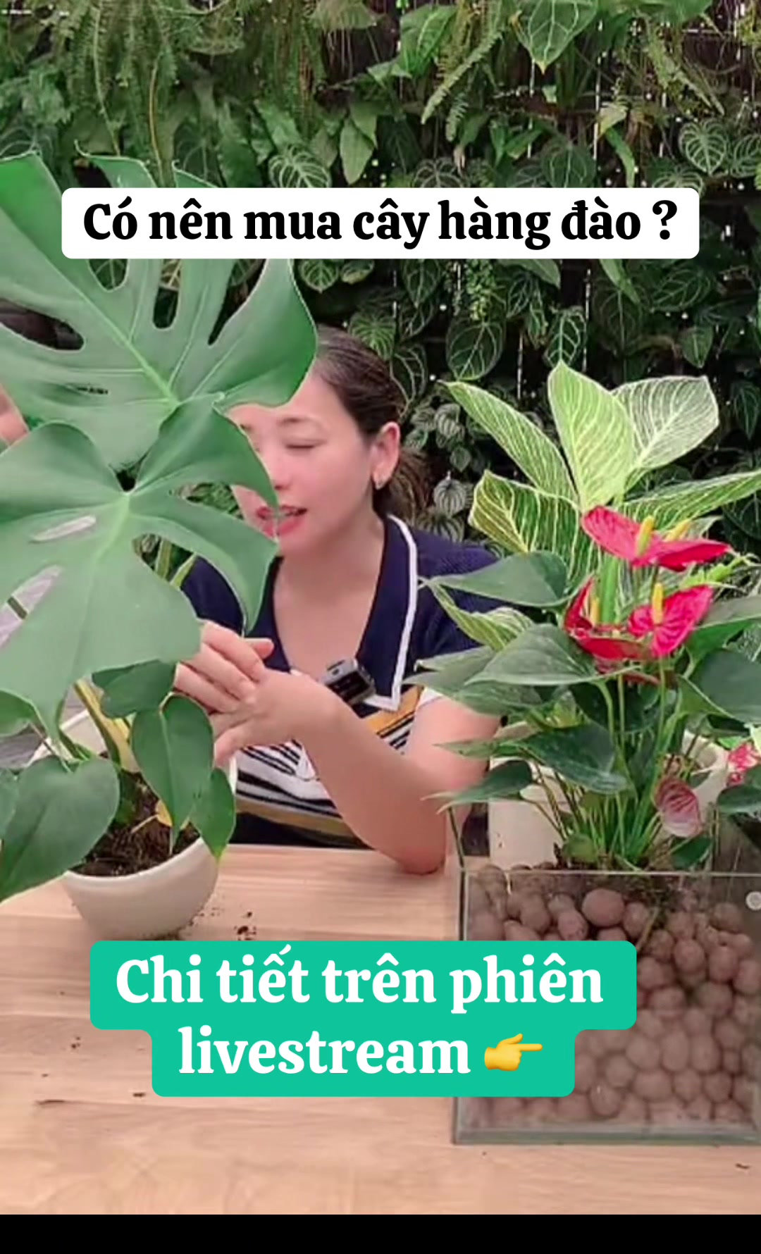 @Vườn Hồ Hân
