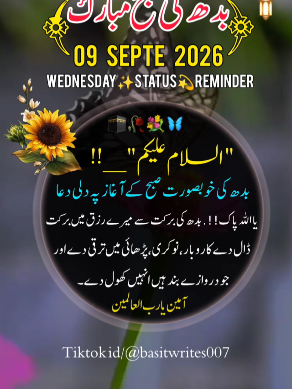 @basitwrites007