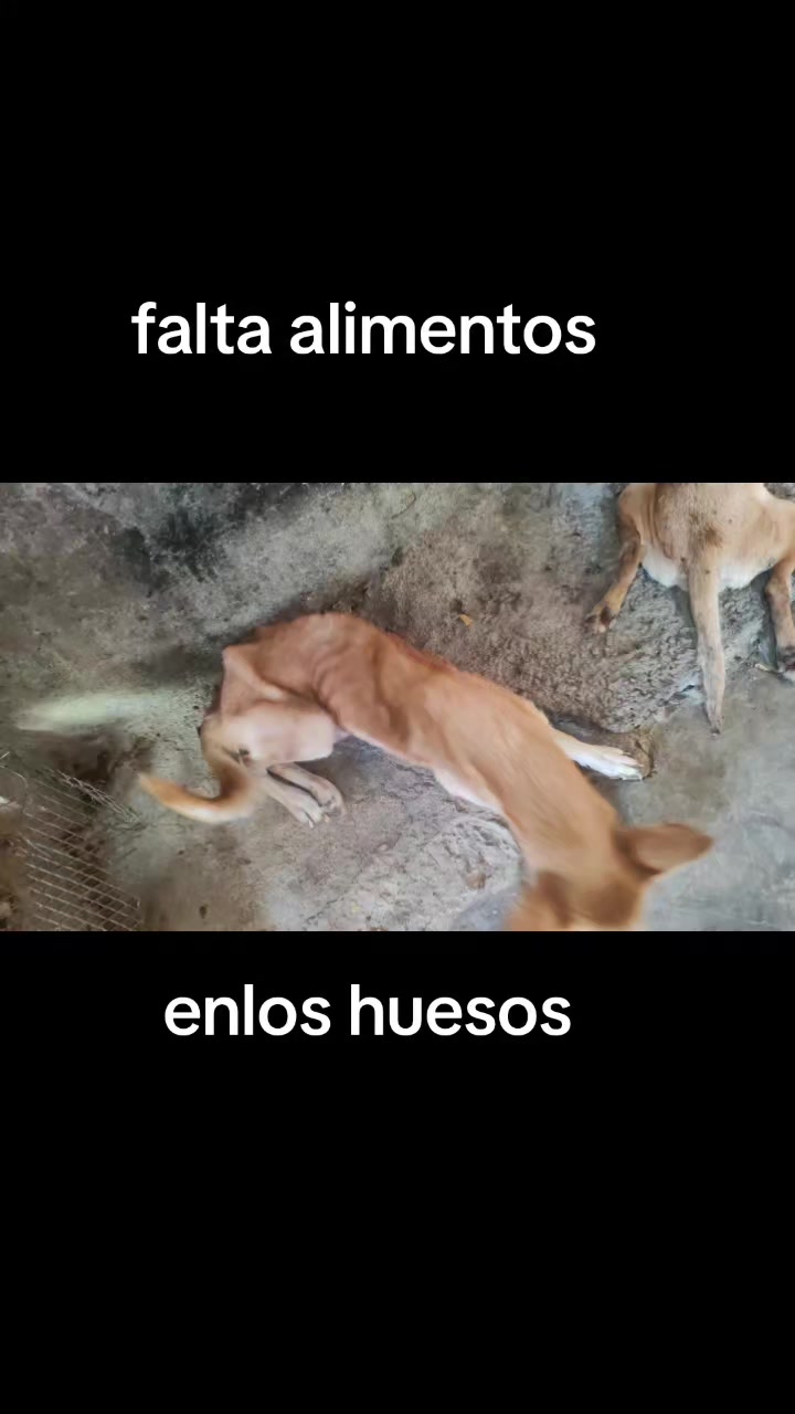 @casa hogar milagros 505 🇳🇮