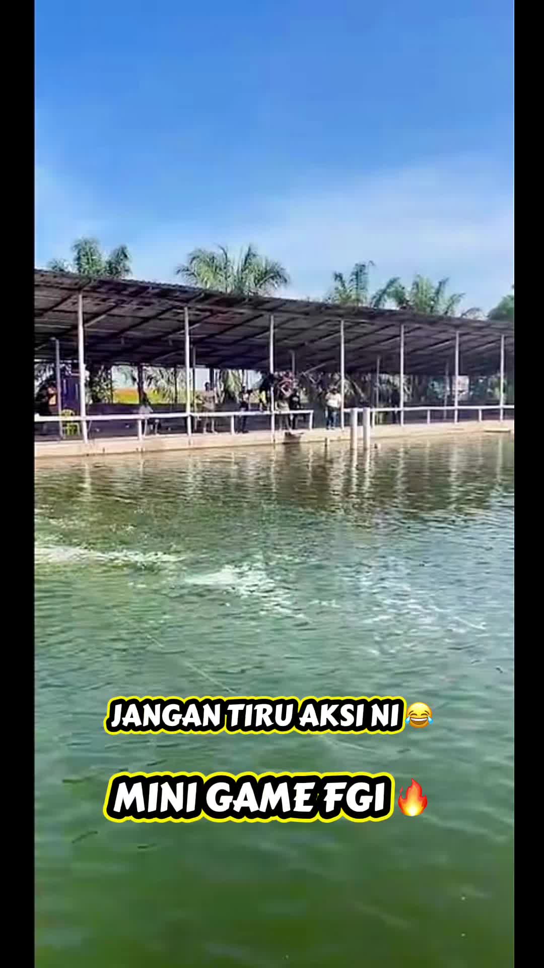 @M Z Reel 🎣