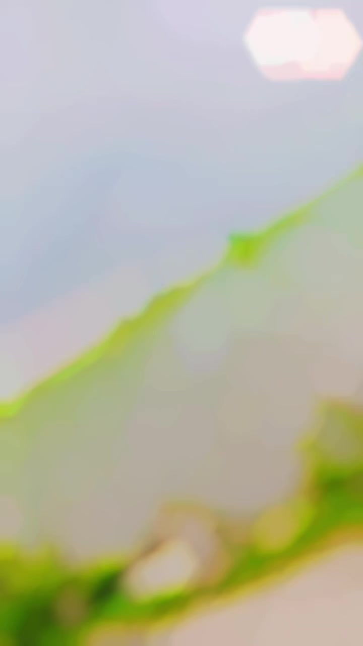 @Bajwa saab