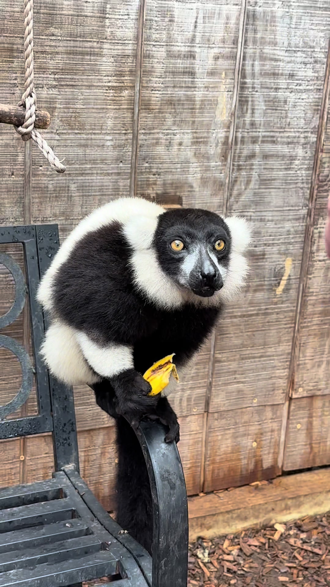 @Texas Wildlife Park