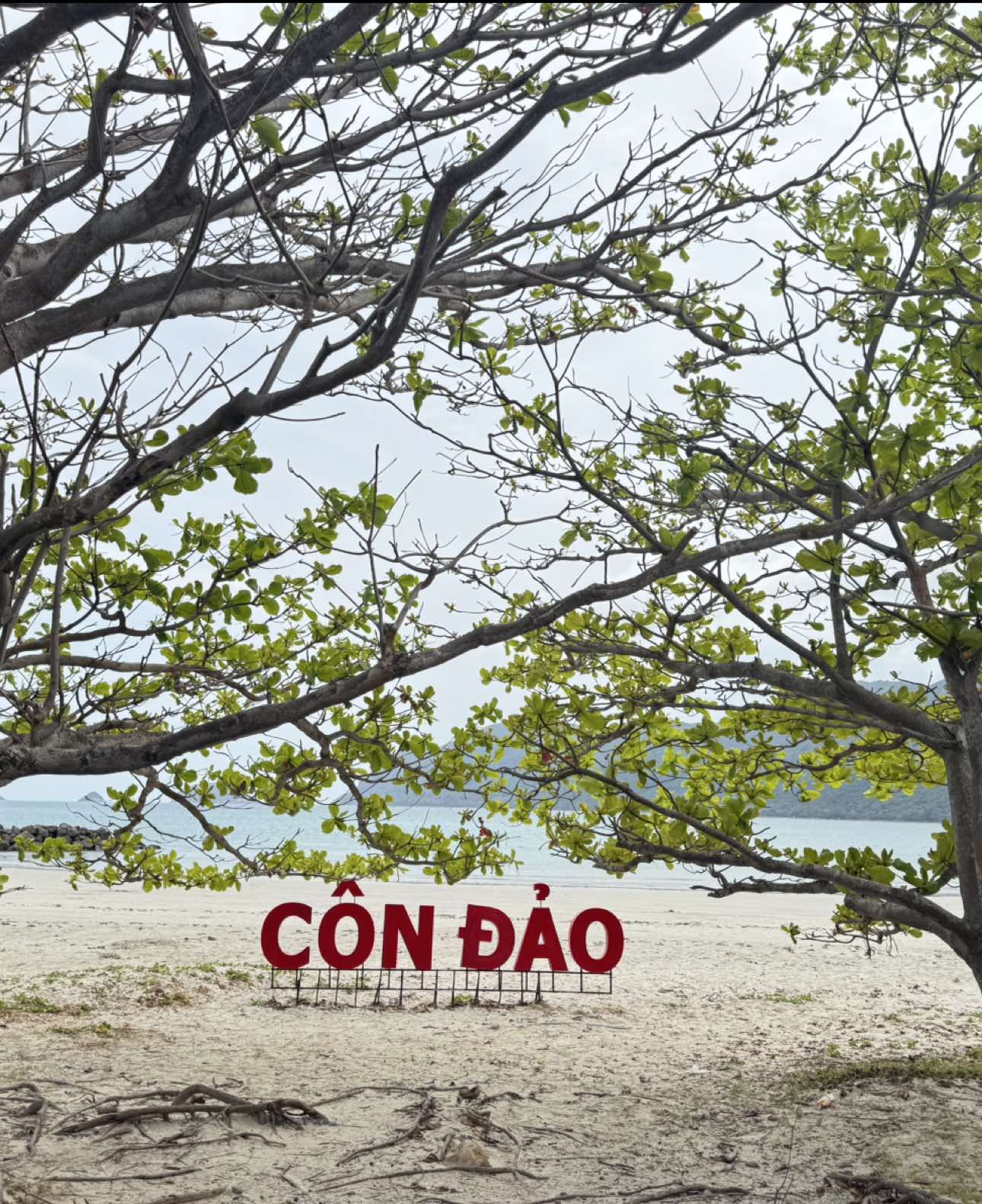 @Hiển