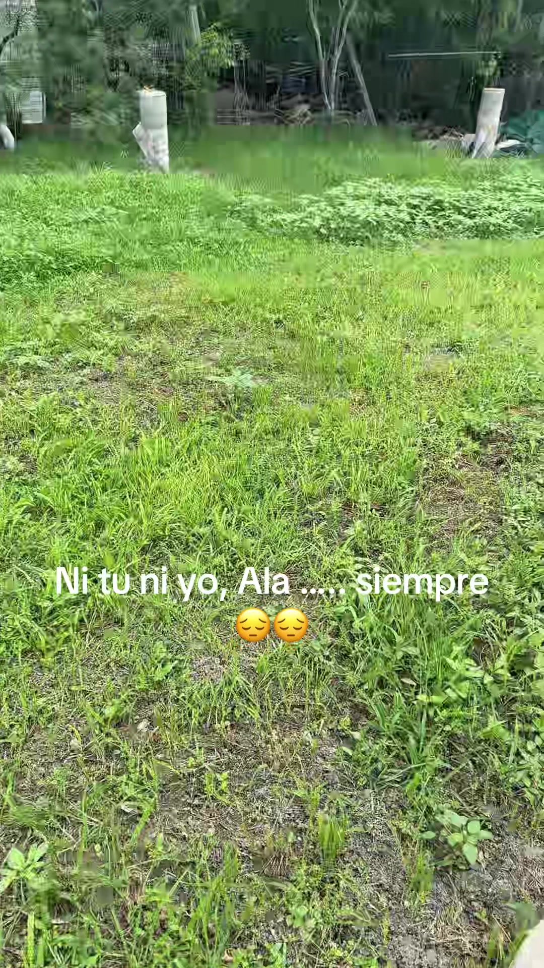 @Amada mía