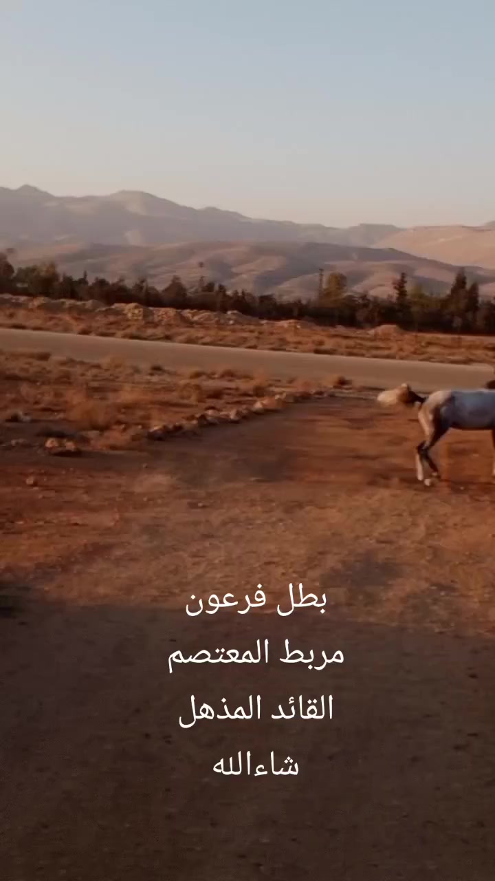 @أحمد(☆▽☆)البيراوي(☆▽☆)