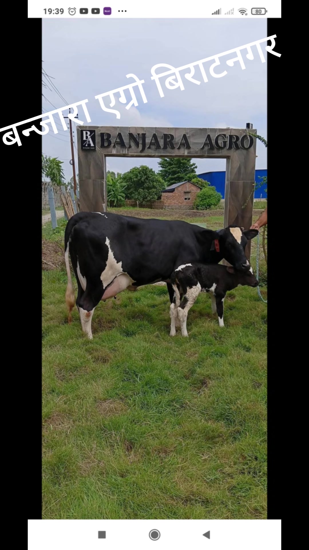 @Banjara Agro