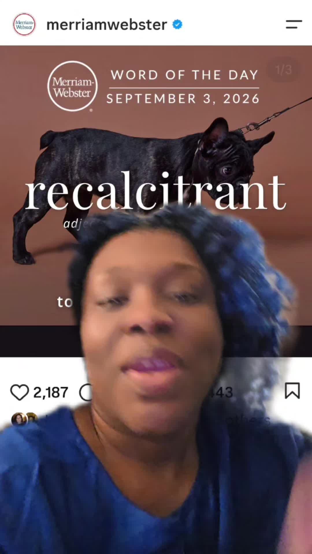 @English Professor of TikTok