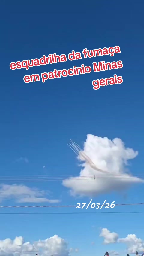 @aparecidamachado303