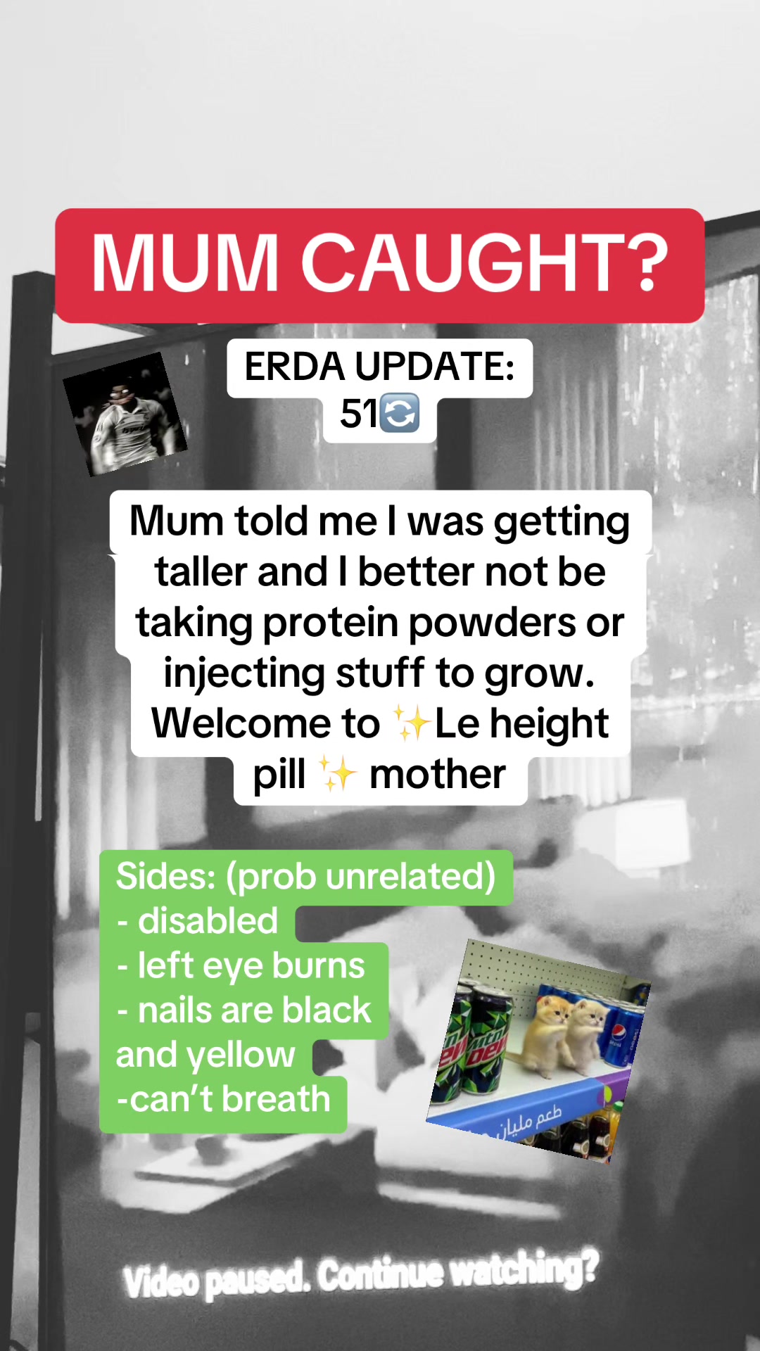 @skifee