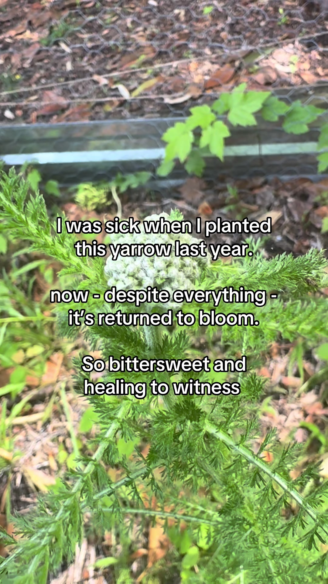 @Melanie 🌿