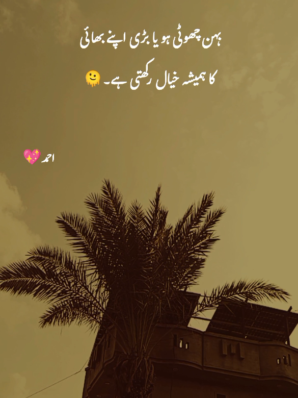 @احمد رائٹس