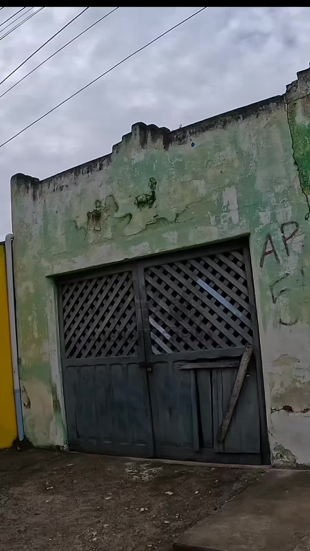 @adenor_pereira