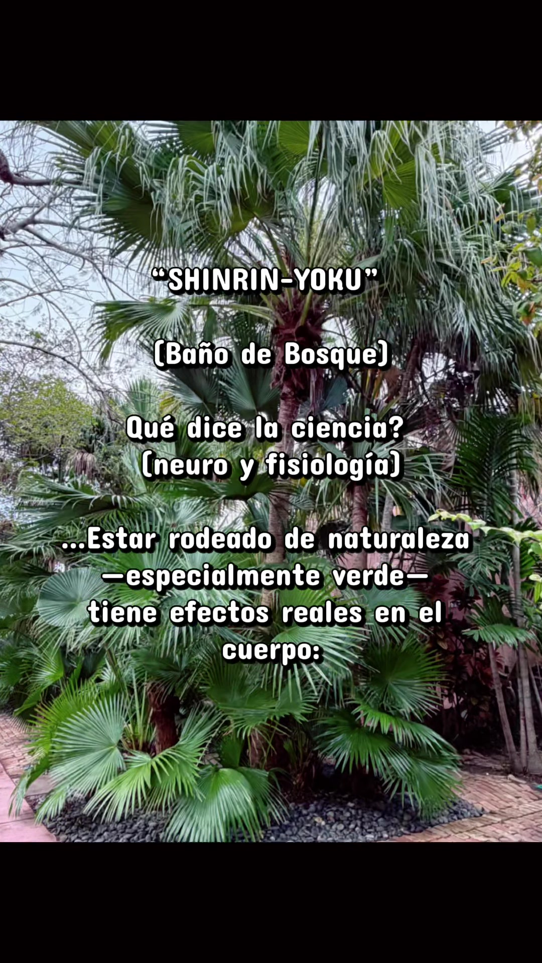 @Debora Suarez